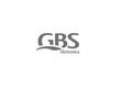 Logo G.B.S. Elettronica