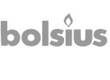 Logo Bolsius