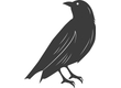 Logo STARLING