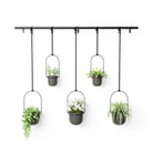 Voir les produits de la catégorie Pots à fleurs