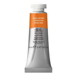 Winsor & Newton Professional peinture à l'eau Marron, Jaune 14 ml Tube 1 pièce(s)