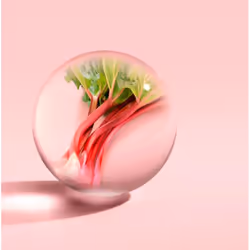 Molton Brown Delicious Rhubarb & Rose 100 ml Femmes - Vue supplémentaire 4
