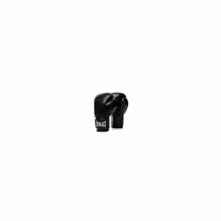Everlast Spark Gl Polyurethane