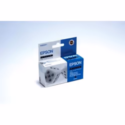Epson cartouche d'encre Black S020047