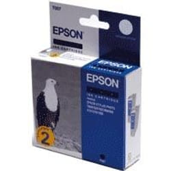 Epson Eagle Ink Cart 13ml f Stylus Photo870 1290 2pk cartouche d'encre Original