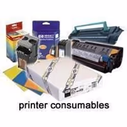 Epson Pap Adhésif Synthétique Supérieur 135g 24" (0,610x30,5m), 30,5 m, 61 cm, 61 cm (24"), Mat, 165 µm, 135 g/m²