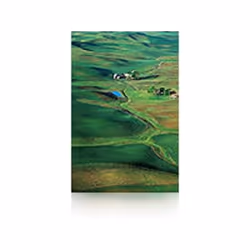 Epson Pap Photo Premium Semi-Glacé (250) 60" (1,524x30,5m), Semi brillant, 250 g/m², 0,96%, Epson Stylus Pro 11880, 152,4 cm, ...