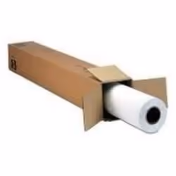 Epson Film MetallicProof 24"x30,5m SPWT 7900, 30,5 m, 61 cm, 61 cm (24"), 150 µm, 184 g/m²