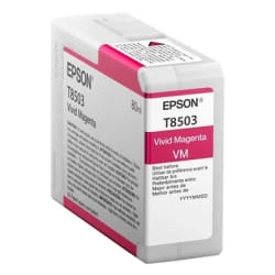 Epson Singlepack Magenta T850300