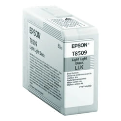 Epson Singlepack Light Light Black T850900