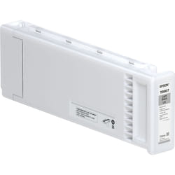 Epson Gris