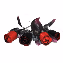 Amscan 996716, Noir, Rouge, 6 pièce(s)