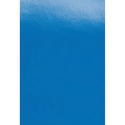 GBC Plats de Couverture PolyOpaque A4 300 microns bleu (100)