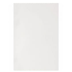 GBC Plats de Couverture PolyOpaque A4 300 microns blanc (100)