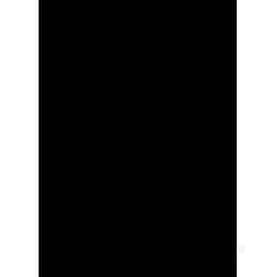 GBC Plats de Couverture PolyOpaque A4 300 microns noir (100)