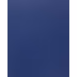 GBC Plats de Couverture PolyOpaque A4 300mic bleu foncé (100), A4, Polypropylène (PP), Bleu, 0,3 mm, 100 pièce(s)