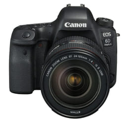 Canon EOS 6D Mark II + EF 24-105mm f/4L IS II USM