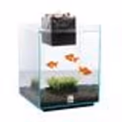 Aquarium Fluval Shui Ii 19 Litres
