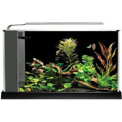 Aquarium Spec V - FLUVAL - 19 L - Noir