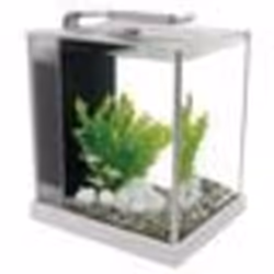 Aquarium Spec Fluval - FLUVAL - 10 L - Contemporain - Fonctionnel - Noir et blanc