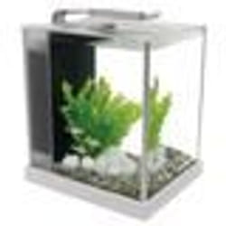 Aquarium Spec Fluval - FLUVAL - 10 L - Contemporain - Fonctionnel - Noir et blanc