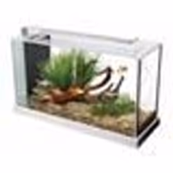 Aquarium - FLUVAL - Spec V - 19 L - Blanc - Éclairage LED - Filtre à décantation