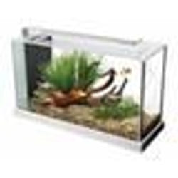 Aquarium - FLUVAL - Spec V - 19 L - Blanc - Éclairage LED - Filtre à décantation