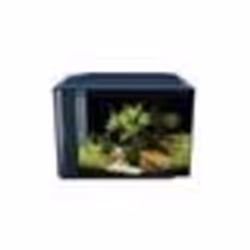 FLUVAL Aquarium équipé Spec XV