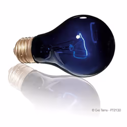Lampe pour terrarium clair de lune Exo Terra 75W