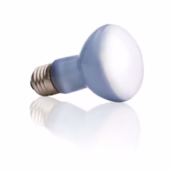 Exo Terra PT2131, 50 W, 1 pièce(s), 2500 K, Ultraviolet (UV), 320 lm, 6,4 lumen par watt