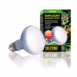 Exo Terra PT2132, 75 W, 1 pièce(s), R20, 2560 K, Lumière de jour, 550 lm