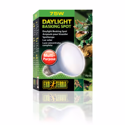 Exo Terra PT2132 lampe chauffante pour reptile 75 W 1 pièce(s)