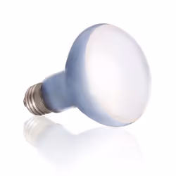 Exo Terra PT2132 lampe chauffante pour reptile 75 W 1 pièce(s)