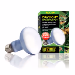 Exo Terra PT2133 lampe chauffante pour reptile 100 W 1 pièce(s)