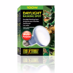 Exo Terra PT2133 lampe chauffante pour reptile 100 W 1 pièce(s)