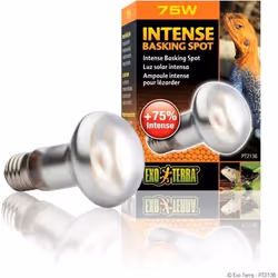 Lampe pour terrarium Exo Terra Intense Basking Spot 75W