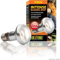 Lampe pour terrarium Exo Terra Intense Basking Spot 75W