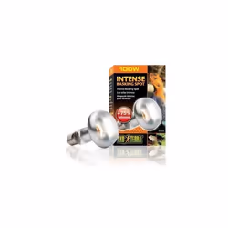 Lampe pour terrarium Exo Terra Intense Basking Spot 100W