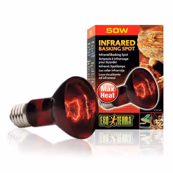 EXO TERRA Lampe infrarouge Baskin Spot - 50 W - Pour terrarium