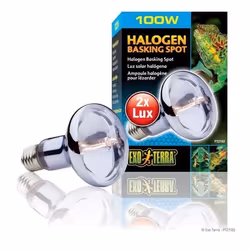 Lampe pour terrarium halogène Exo Terra Sun Glo 50W