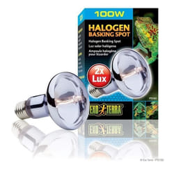 Lampe pour terrarium halogène Exo Terra Sun Glo 50W