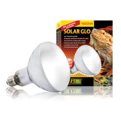 Exo Terra PT2193 lampe chauffante pour reptile 160 W 1 pièce(s)