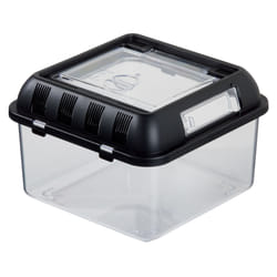 Exo Terra PT2270 terrarium pour reptiles et amphibiens