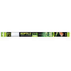 Exo Terra PT2385 15 W 1 pièce(s)