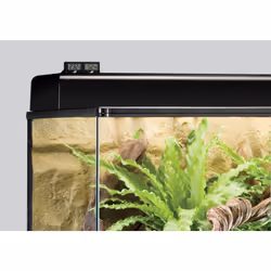 Exo Terra PT2472 thermomètre environnement Thermomètre électrique Terrarium Noir - Vue supplémentaire 3