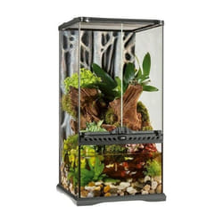 Paludarium Exo Terra