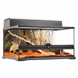 Exo Terra PT2604 terrarium pour reptiles et amphibiens