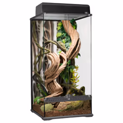 Exo Terra Rainforest