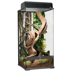 Exo Terra Rainforest