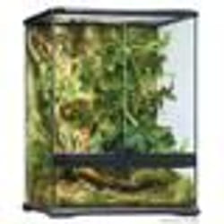 Terrarium Exo Terra - Serpent - Noir - 45x45x60cm - Plastique